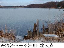 丹治沼から丹治沼川への流入点