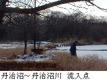 丹治沼から丹治沼川への流入点