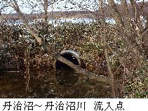 丹治沼から丹治沼川への流入点