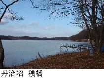 丹治沼の桟橋
