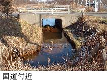 国道付近