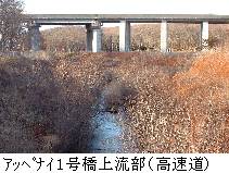 アッペナイ1号橋上流部(高速道)