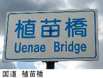 国道植苗橋