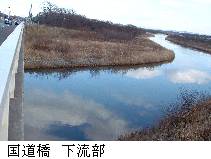 国道橋下流部