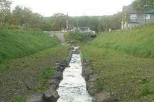青雲町明徳小学校前錦岡川低水路内木道