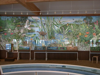 ウトナイ湖野生鳥獣保護センターにある壁面の絵