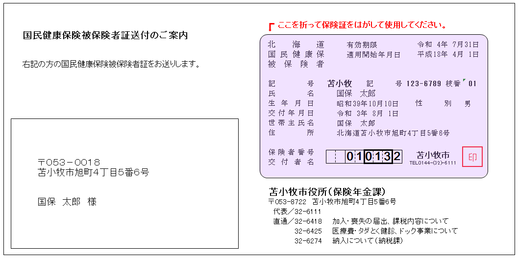 国民健康保険制度 加入 脱退 保険証再交付等 北海道苫小牧市