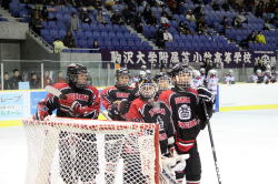 準決勝戦　駒大苫小牧VS武修館3