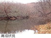 湖沼状況