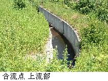 合流点(上流部)