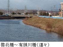 啓北橋から有珠川橋(道々)