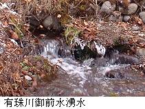 有珠川御前水湧水