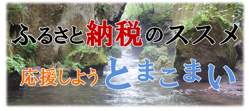 ふるさと納税｜北海道苫小牧市