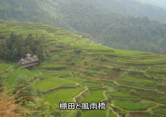 侗族