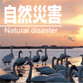 自然災害〈Natural disaster〉