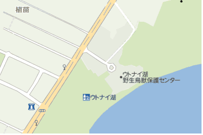 道の駅「ウトナイ湖」地図