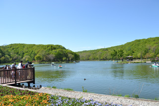 緑ヶ丘公園の全景