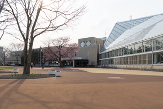 写真：図書館とサンガーデン