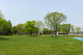 写真：文化公園