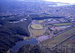 緑ヶ丘運動公園の空撮写真