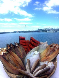 カネフジ藤野水産　魚