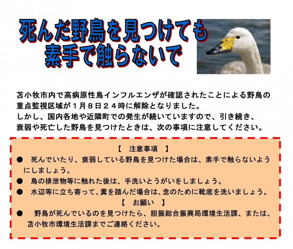 秋・冬