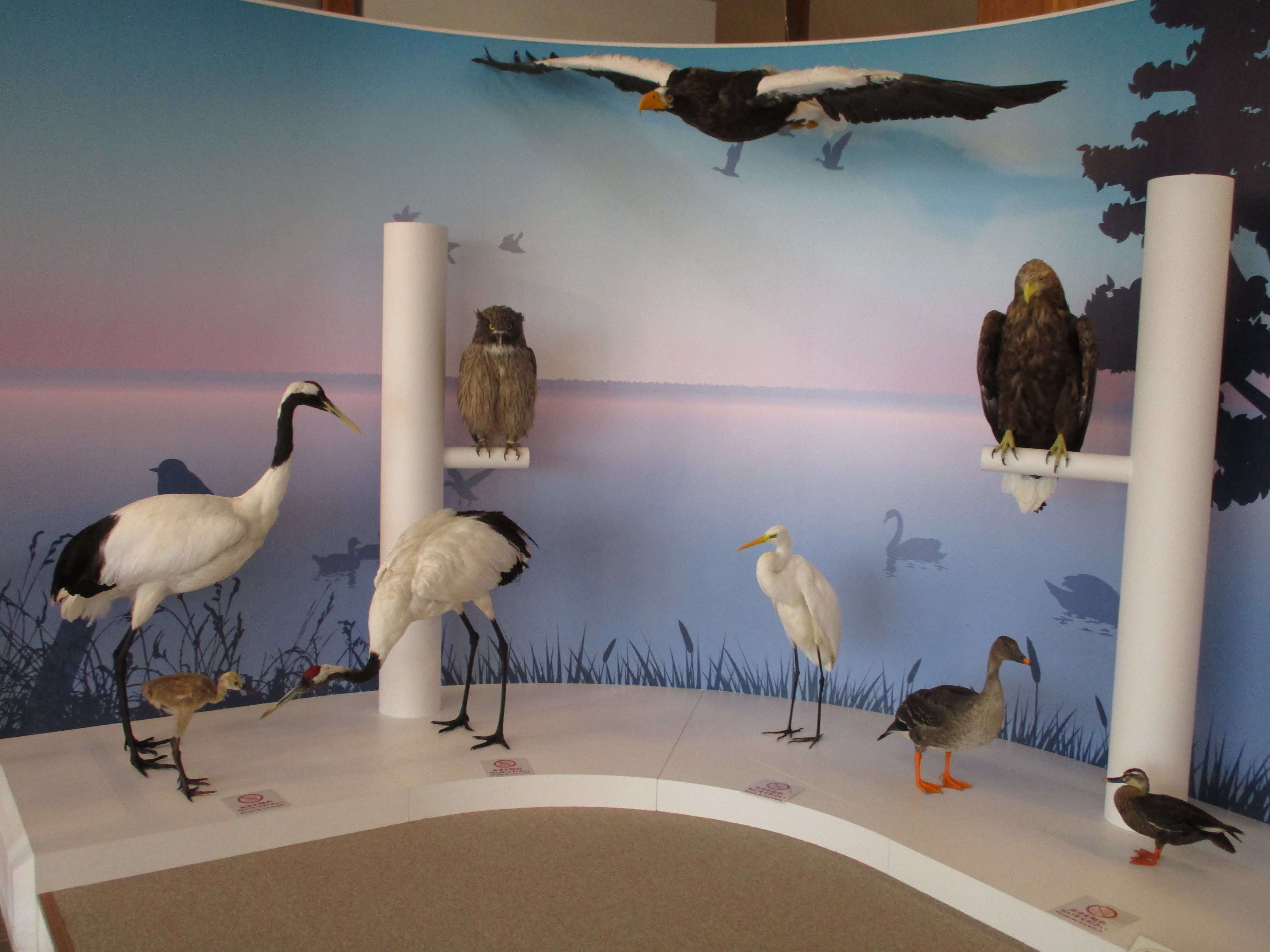 施設紹介｜北海道苫小牧市