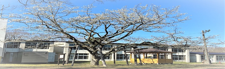 苫小牧市立植苗小中学校校舎