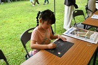 苫小牧アートフェスティバル2025、美術博物館祭2025