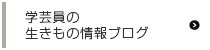 学芸員のいきもの情報ブログ