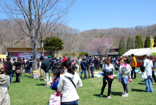 春の青空の公園