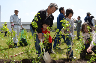 市民植樹祭１