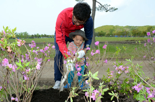 市民植樹祭１
