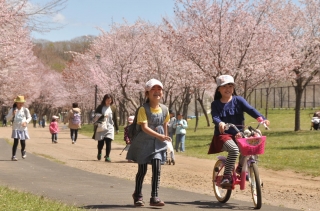 緑ケ丘公園まつりの写真